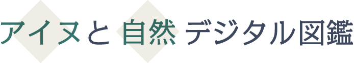 アイヌと自然デジタル図鑑